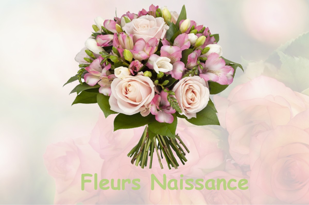 fleurs naissance RILLIEUX-LA-PAPE